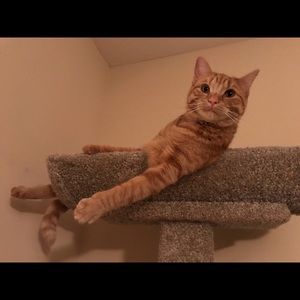 Meet your Posher, Sara